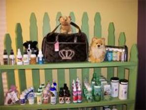 show dogs grooming