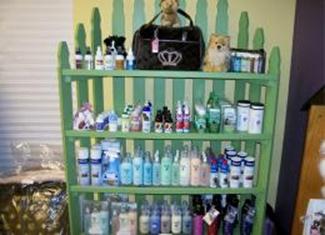 show dogs grooming Pic